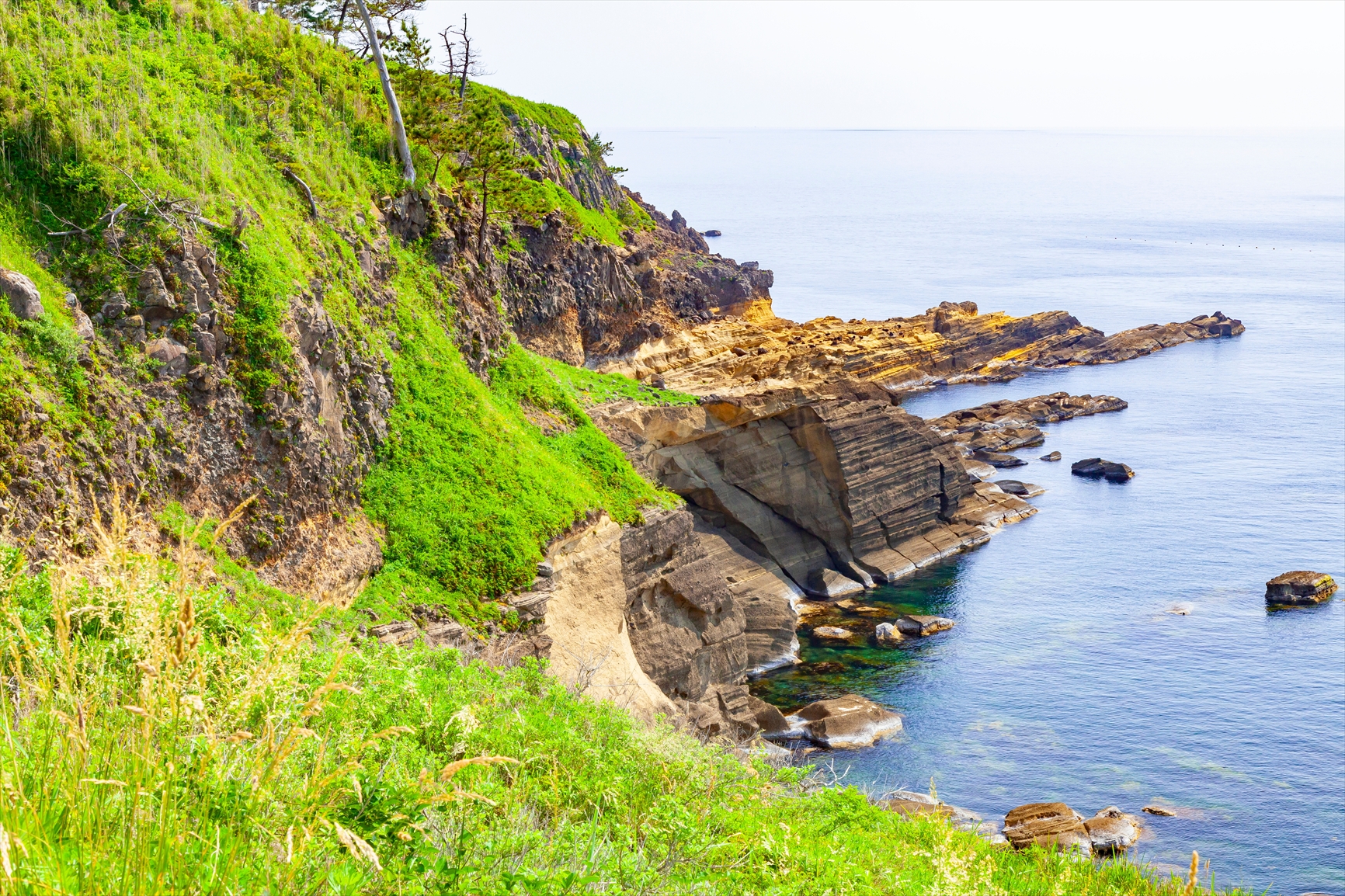 AdobeStock_283677993.jpg